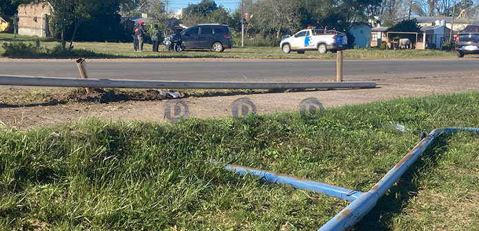 Accidente en nuestra ciudad: Animal provoca colisión